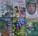 Kamboške čebele v čebelarski literaturi